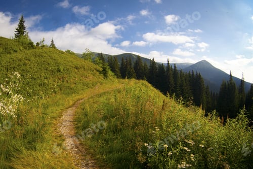 Preview: <Multiple Values>Morning Sunny Day Is In Mountain Landscape. Carpathian, Ukraine, Europe. Beauty