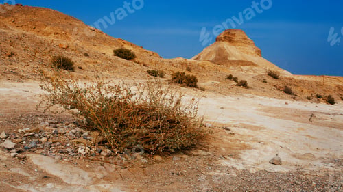 Preview: Landscapes Of Israeli Desert Under The Blue Sky In Daytime