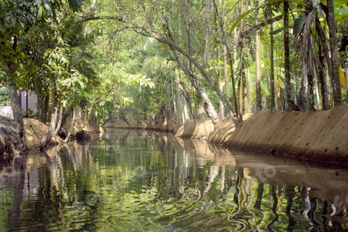 Preview: Journey Through The Backwaters Of Kerela, India