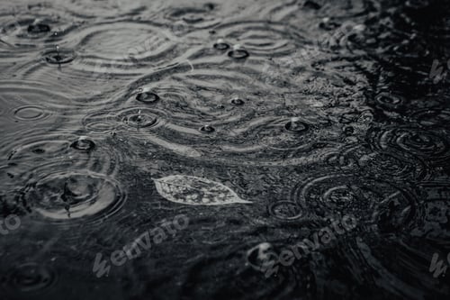 Preview: Autumn Leaf In Puddle