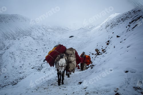 Preview: Thorongla Pass In Nepal