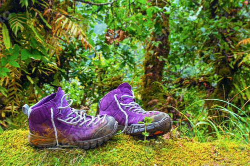 Preview: Violet Trekking Shoes On The Nature. Nepal