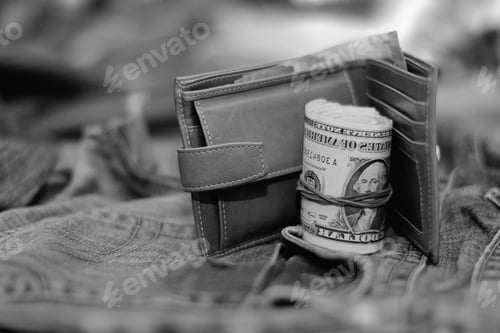 Preview: Purse Bundle Of Dollars