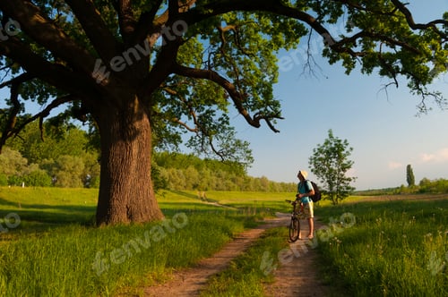 Preview: Nature Photographer Looking At The Huge Old Oak Beside Country Road.