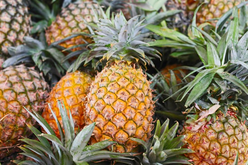 Preview: Pineapples Background