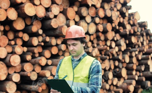 Preview: Worker In Helmet Counts Wood Lumber