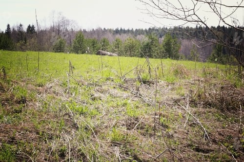 Preview: Cottage Holiday In The Countryside Nature