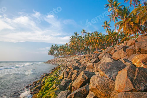 Preview: Beautiful Sea And Palms Around Varkala Beach, Kerala, India