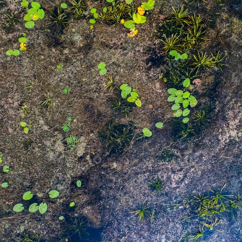 Preview: Top View Of River Near Kiev, Ukraine, - Taken With Drone