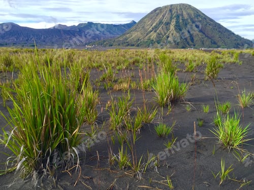 Preview: The Way To The Crater Bromo, East Java, Indonesia