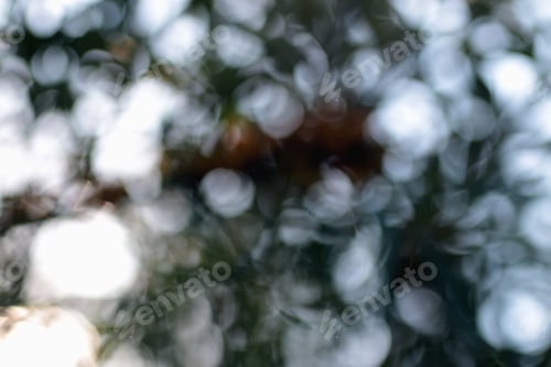 Preview: Background Blur Bright Green