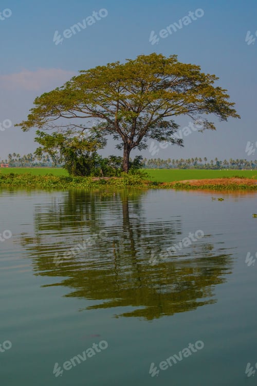 Preview: Kerala Backwaters Nature View, India