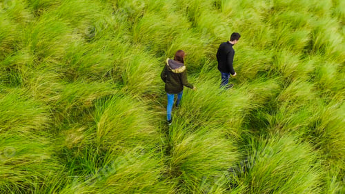 Preview: Aerial View Over A Young Couple Walking Through The Grass Fields And Sand Dunes