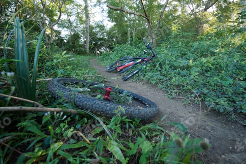 Preview: Repair The Front Wheel Of A Bicycle In Nature. Got A Flat Tire. Selective Focus.