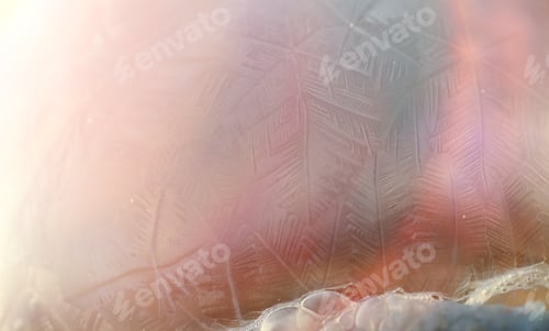 Preview: Soap Bubbles Freeze In The Cold. Winter Soapy Water Freezes In T