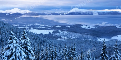 Preview: Beautiful Christmas Nature Background With Snowy Fir Trees And Blue Mountains In Winter.