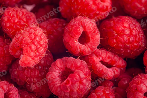 Vista previa: Bright Fresh Vitaminous Raspberry Closeup Backround
