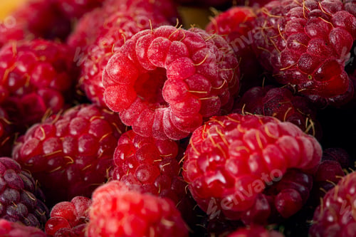 Preview: Bright Fresh Vitaminous Raspberry Closeup Backround