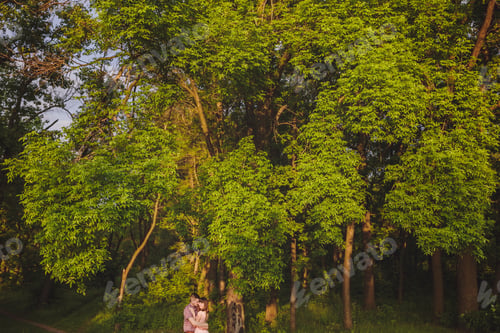 Preview: Young Couple In Love Together On Nature In Summer