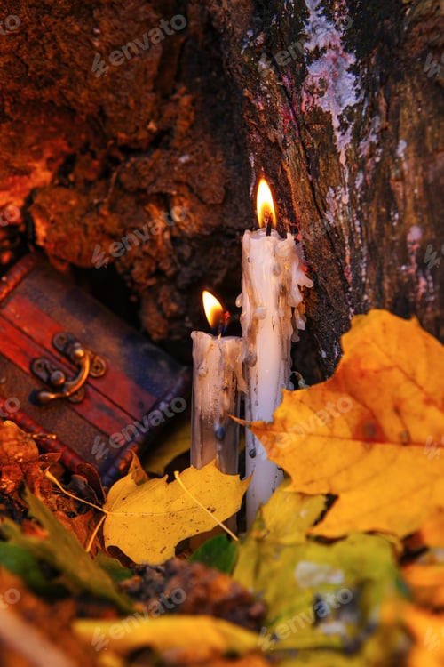 Preview: Beautiful Natural Decor For Autumnal Holiday, Old Dry Maple Leaves, Warm Candle Light