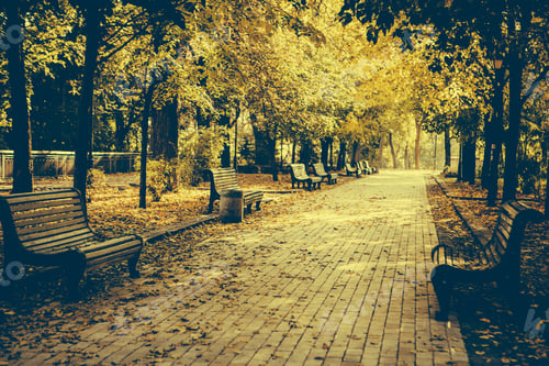 Preview: Bench In Autumn Park. Autumn Landscape
