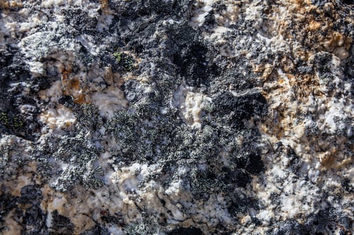 Preview: Texture Of The Stone With Moss On It, Himalayan