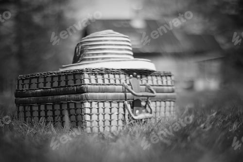Preview: Suitcase Picnic Plates