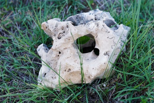 Preview: Big Rock, Looking Like Abstract Skull On Green Grass.
