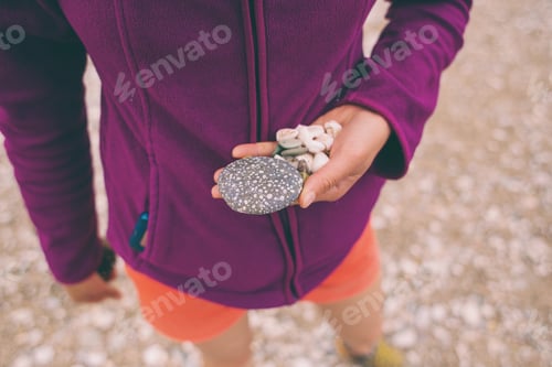 Preview: The Girl Collects Sea Stones And Shells. Small Pebbles In The Female Palm. Seashells In Hand.