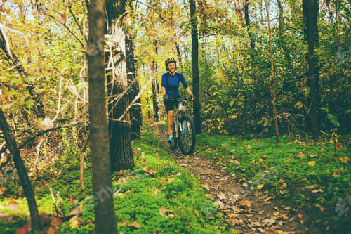 Preview: The Girl With A Backpack Rides A Bike In The Autumn Park. Slender Woman Trains In Nature. Sports In