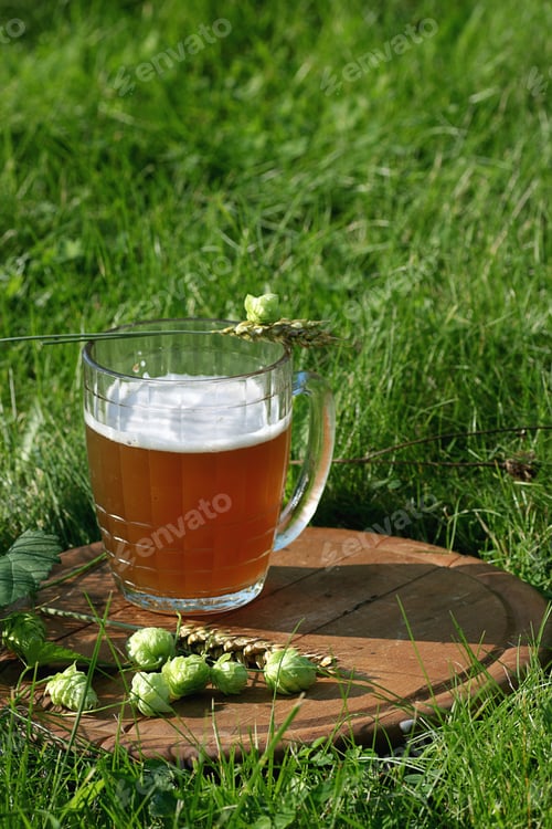 Preview: Mug Of Beer Hops Ears