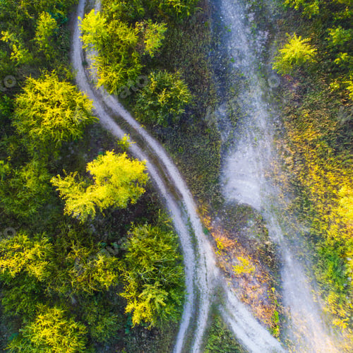 Preview: Forest And Road Taken From Drone, Ukraine