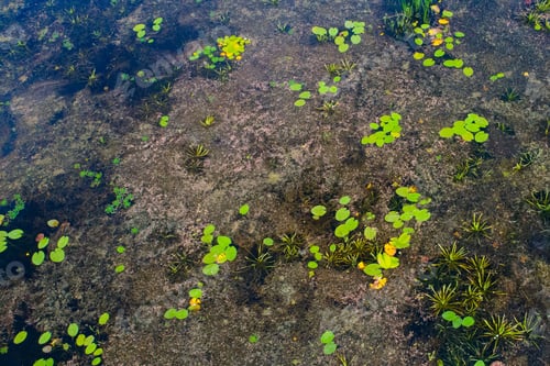 Preview: Top View Of River Near Kiev, Ukraine, - Taken With Drone