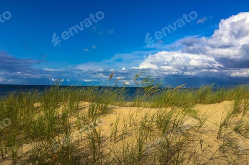 Preview: Seacost Of The White Se In Gdansk, Poland