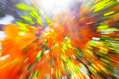 Preview: Abstract View of Orange and Green Leaves