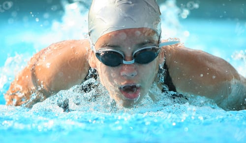 Preview: Fit Swimmer Athlete Training Butterfly Stroke In Swimming Pool. Professional Female Swimmer Inside