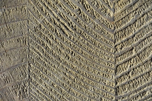 Preview: Wood Texture Background. The Contrasting Texture Of The Boards. Wooden Structure Macro Shot.