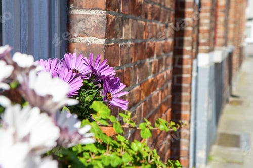 Preview: A Basket Of Bright Pink And Red Flowers Hangs On The Window Of A Home In An Ancient Building In