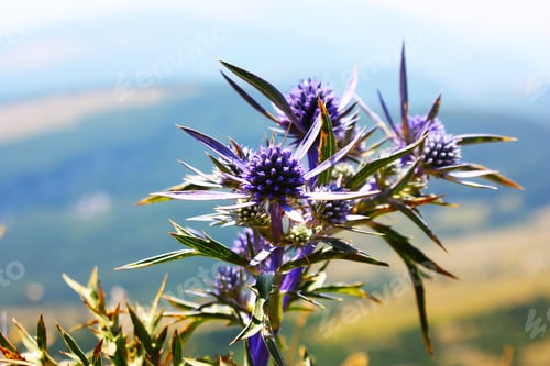Preview: Apennines Beauty Taken In Italy