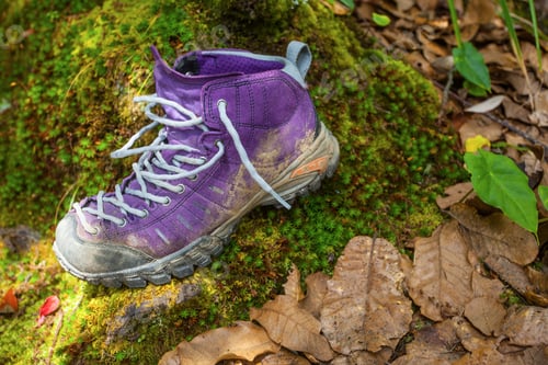 Preview: Violet Trekking Shoes On The Nature. Nepal