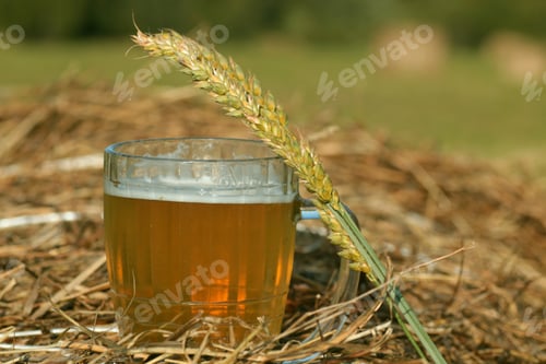 Preview: Beer In A Mug On A Haystack