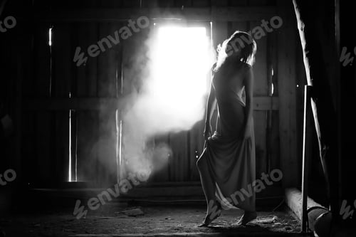 Preview: Silhouette Of A Beautiful Girl In A Dress On The Background Of A Window In An Old House