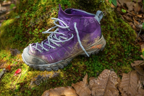 Preview: Violet Trekking Shoes On The Nature. Nepal