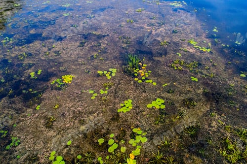 Preview: Top View Of River Near Kiev, Ukraine, - Taken With Drone