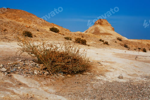 Preview: Landscapes Of Israeli Desert Under The Blue Sky In Daytime