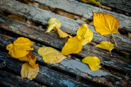 Preview: Autumn Leaves Over Wooden Background