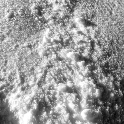 Preview: Fresh Snow Background
