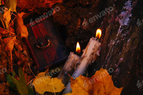 Preview: Beautiful Natural Decor For Autumnal Holiday, Old Dry Maple Leaves, Warm Candle Light