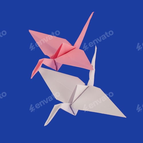 Preview: White And Rose Cranes Isolated On The Blue Background