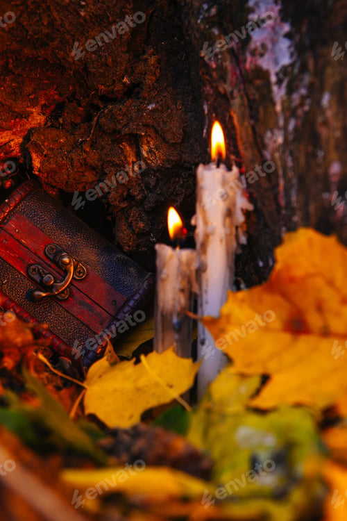 Preview: Beautiful Natural Decor For Autumnal Holiday, Old Dry Maple Leaves, Warm Candle Light